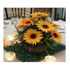 Centerpiece 16